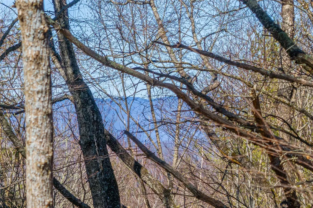 Lot 10 Channel View Drive Cullowhee NC 28723