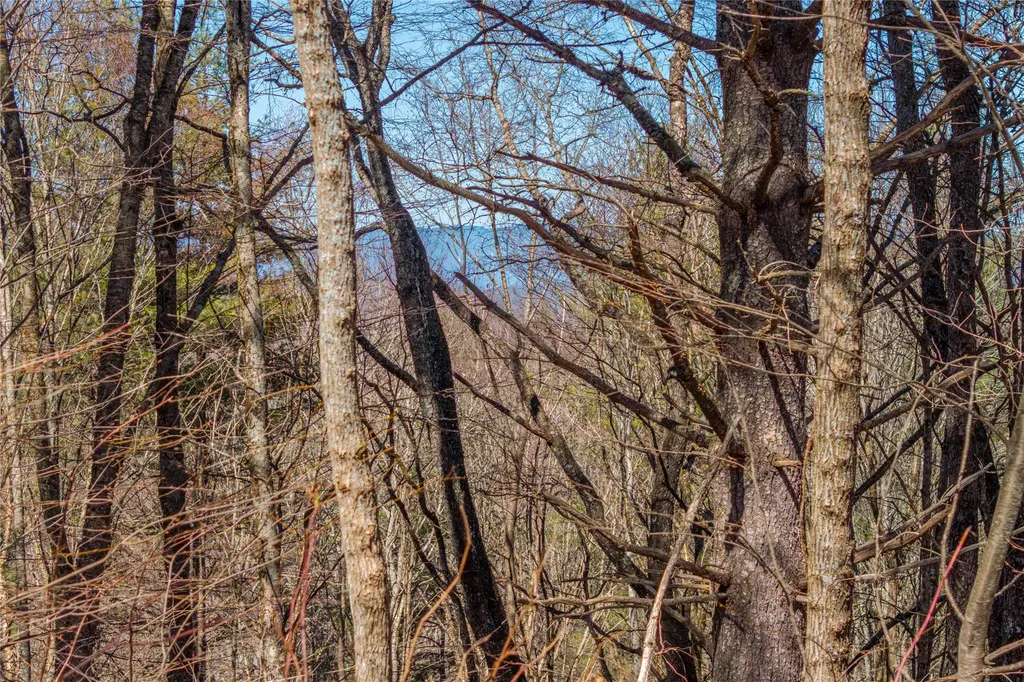 Lot 10 Channel View Drive Cullowhee NC 28723