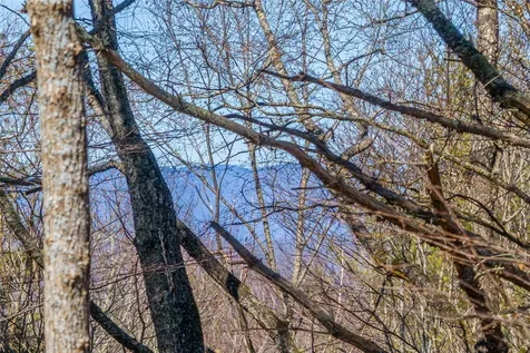 Lot 10 Channel View Drive Cullowhee NC 28723