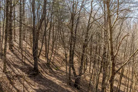 Lot 10 Channel View Drive Cullowhee NC 28723