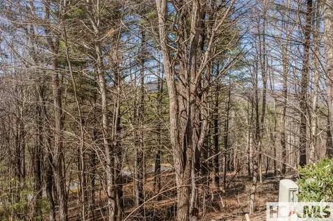 Lot 10 Channel View Drive Cullowhee NC 28723