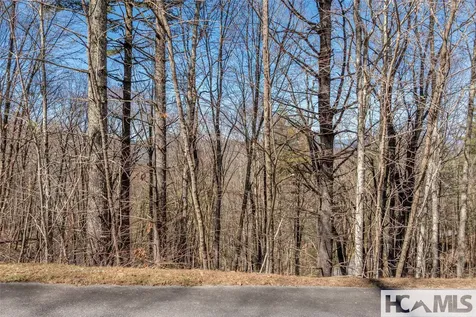 Lot 10 Channel View Drive Cullowhee NC 28723