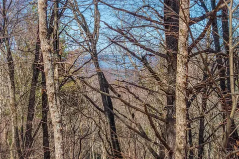Lot 10 Channel View Drive Cullowhee NC 28723