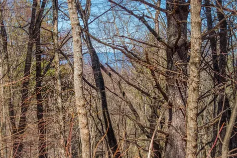 Lot 10 Channel View Drive Cullowhee NC 28723