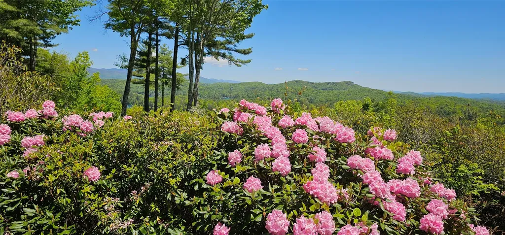 721 Lakeside Drive Lake Toxaway NC 28747