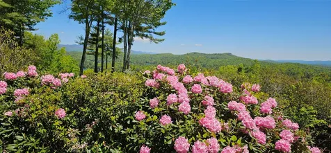 721 Lakeside Drive Lake Toxaway NC 28747