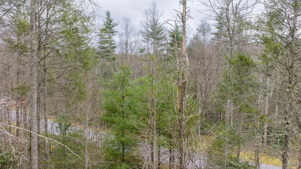 60 Bottlebrush Drive Cashiers NC 28717