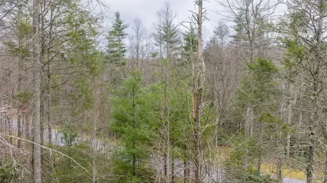 60 Bottlebrush Drive Cashiers NC 28717
