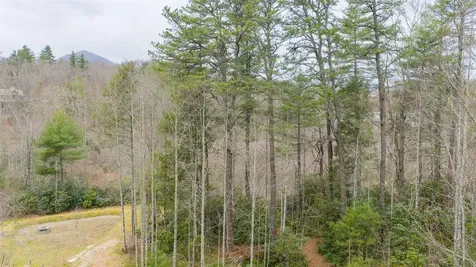 60 Bottlebrush Drive Cashiers NC 28717