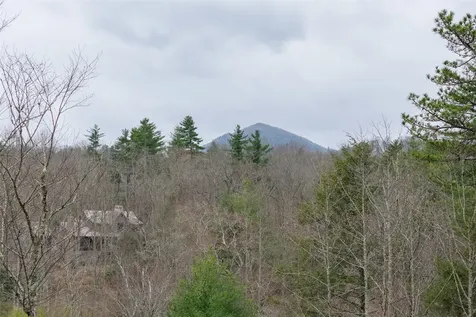 60 Bottlebrush Drive Cashiers NC 28717