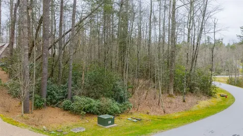 60 Bottlebrush Drive Cashiers NC 28717