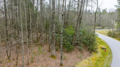 60 Bottlebrush Drive Cashiers NC 28717
