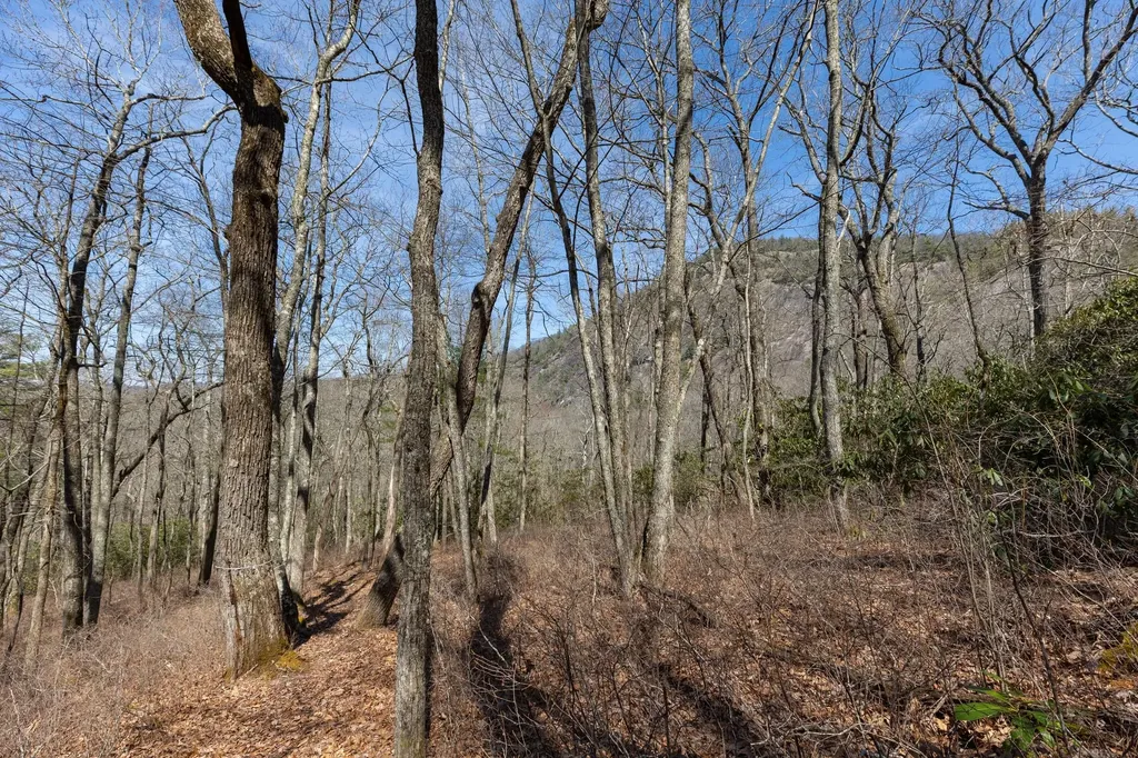 54 Ramble Ridge Road Cashiers NC 28717