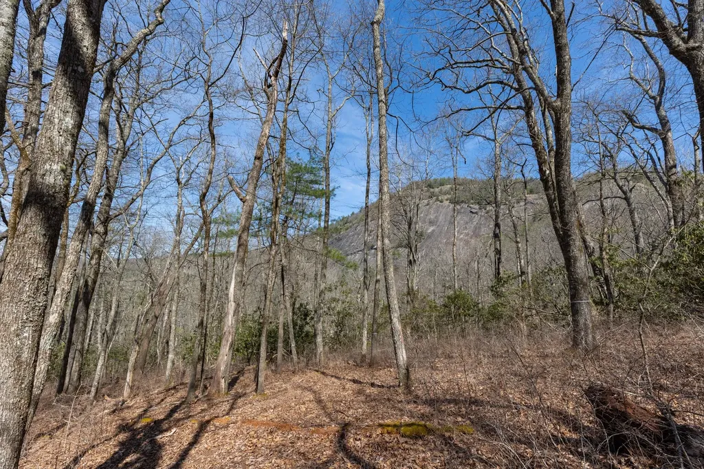 54 Ramble Ridge Road Cashiers NC 28717