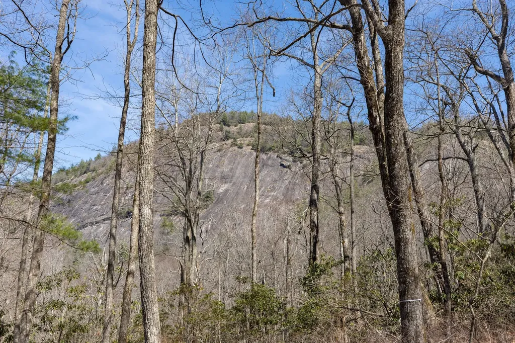 54 Ramble Ridge Road Cashiers NC 28717