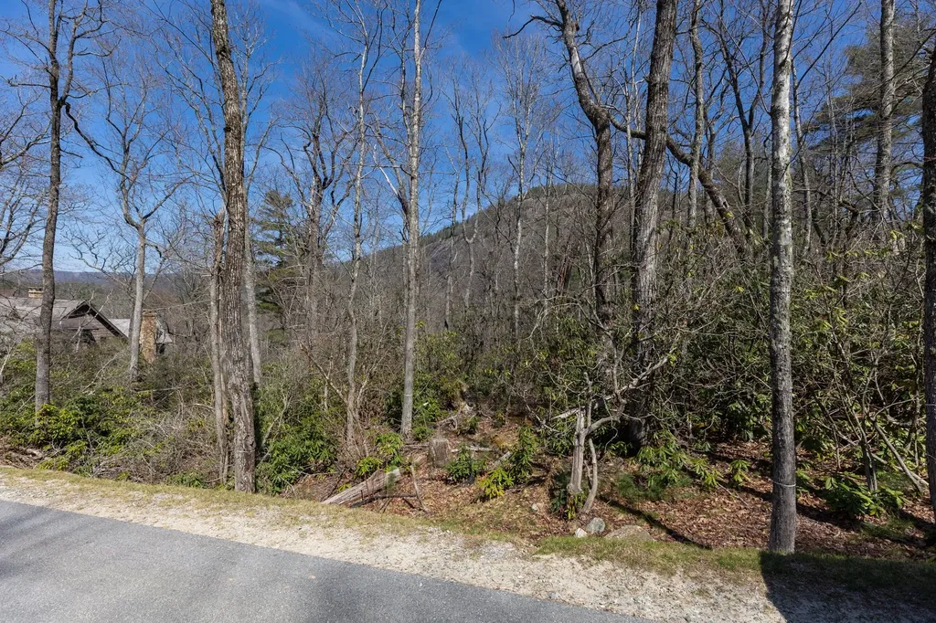 54 Ramble Ridge Road Cashiers NC 28717