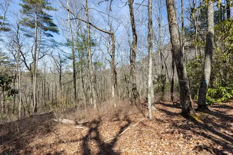 54 Ramble Ridge Road Cashiers NC 28717