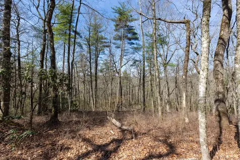 54 Ramble Ridge Road Cashiers NC 28717