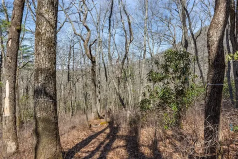 54 Ramble Ridge Road Cashiers NC 28717