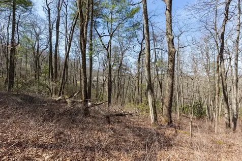 54 Ramble Ridge Road Cashiers NC 28717