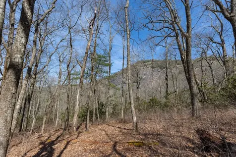 54 Ramble Ridge Road Cashiers NC 28717