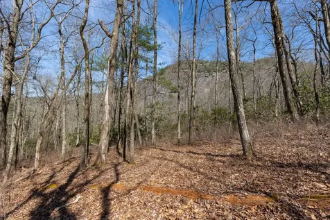 54 Ramble Ridge Road Cashiers NC 28717