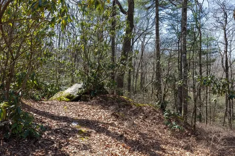 54 Ramble Ridge Road Cashiers NC 28717