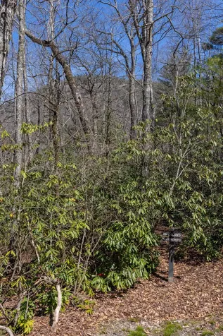 54 Ramble Ridge Road Cashiers NC 28717
