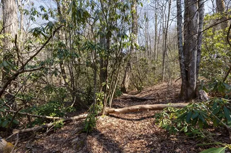 54 Ramble Ridge Road Cashiers NC 28717