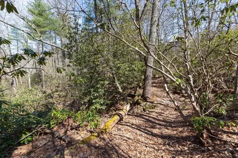 54 Ramble Ridge Road Cashiers NC 28717