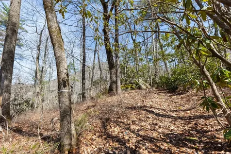 54 Ramble Ridge Road Cashiers NC 28717