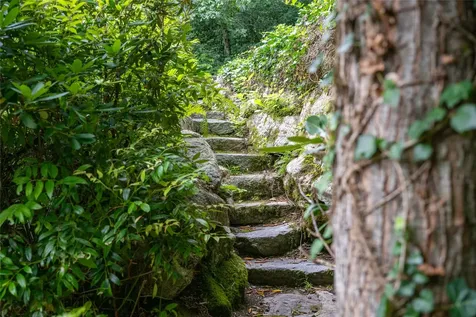 272 Long Way Road Sapphire NC 28774