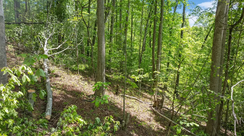 59 Waterdance Drive Cullowhee NC 28723