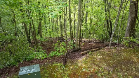 59 Waterdance Drive Cullowhee NC 28723