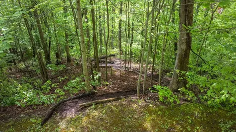 59 Waterdance Drive Cullowhee NC 28723