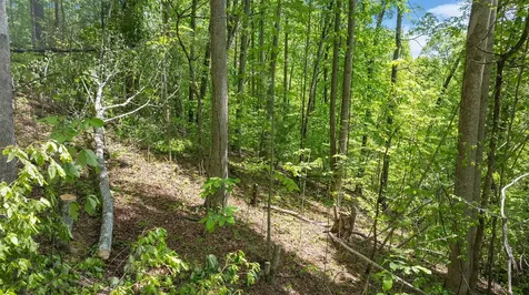 59 Waterdance Drive Cullowhee NC 28723