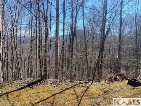 59 Waterdance Drive Cullowhee NC 28723