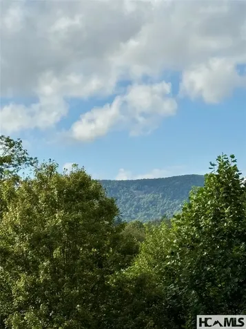 462 Birchwood Drive Highlands NC 28741