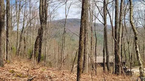 Lot 96 Kestrel Court Sapphire NC 28774