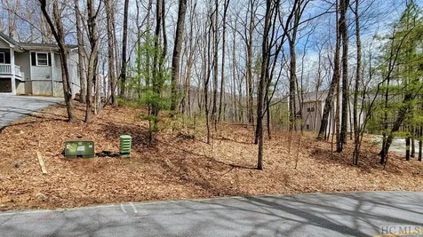 Lot 96 Kestrel Court Sapphire NC 28774