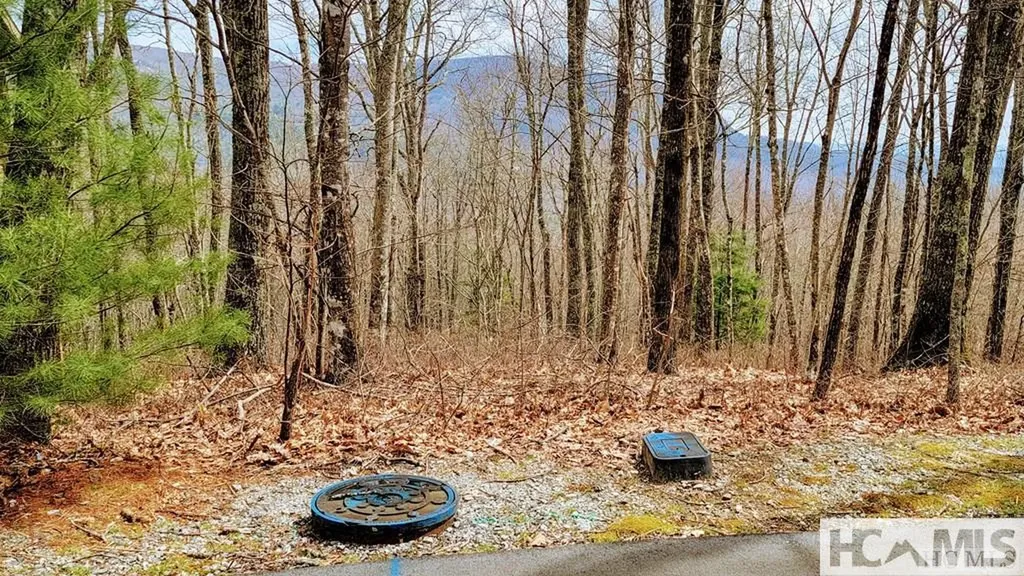 Lot 29 Flyaway Circle Sapphire NC 28774