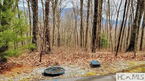Lot 29 Flyaway Circle Sapphire NC 28774