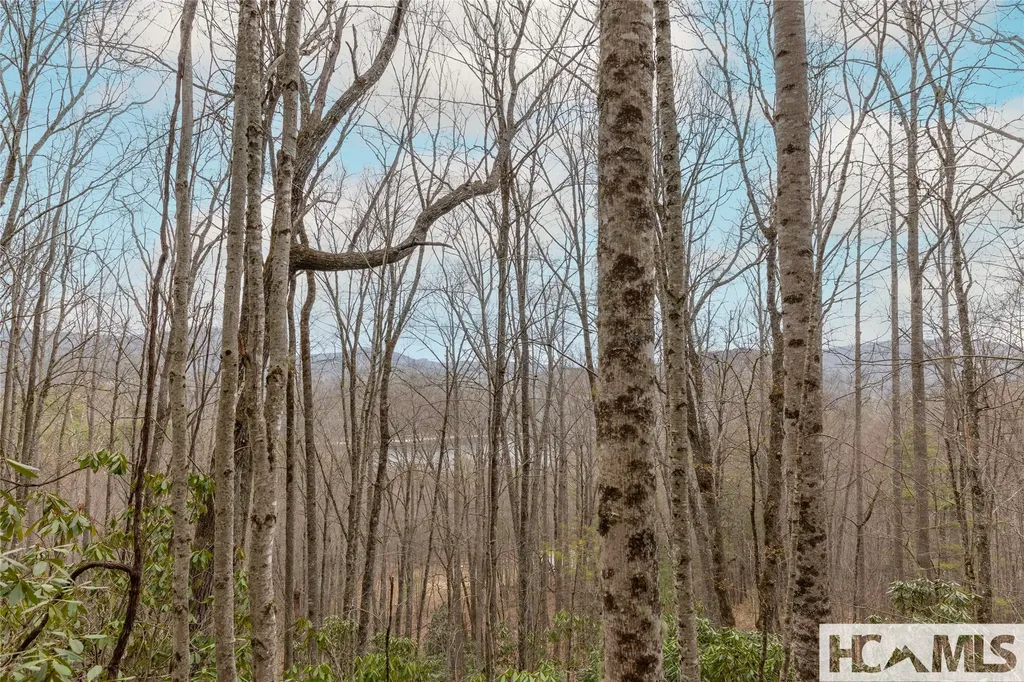 Tr A Fenley Forest Trail Cullowhee NC 28723