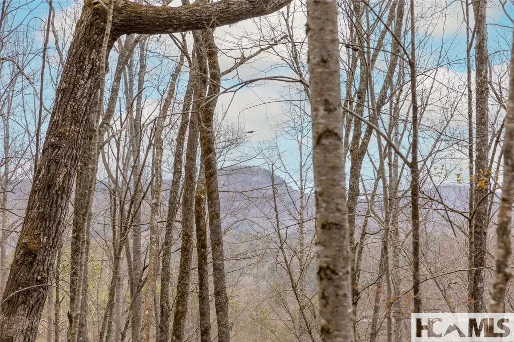 Tr A Fenley Forest Trail Cullowhee NC 28723