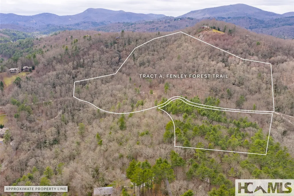 Tr A Fenley Forest Trail Cullowhee NC 28723