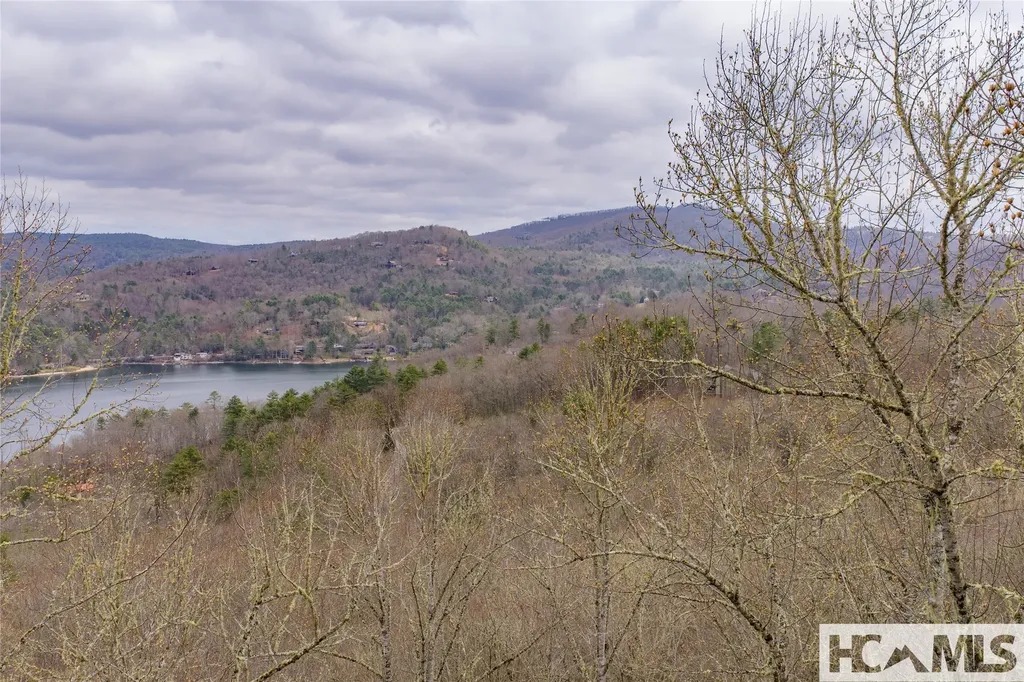 Tr A Fenley Forest Trail Cullowhee NC 28723