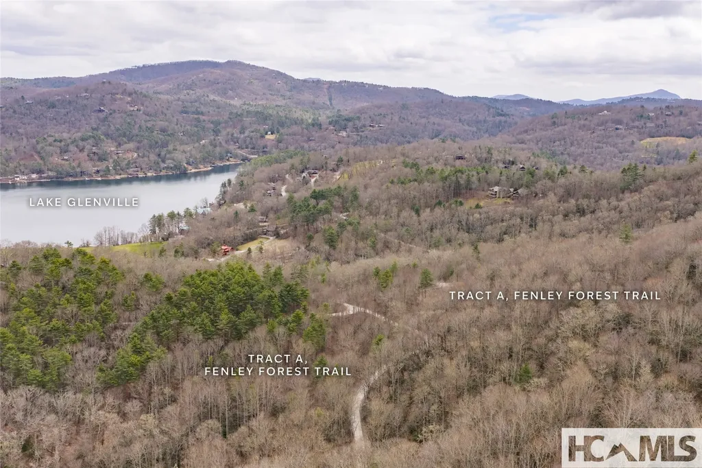 Tr A Fenley Forest Trail Cullowhee NC 28723