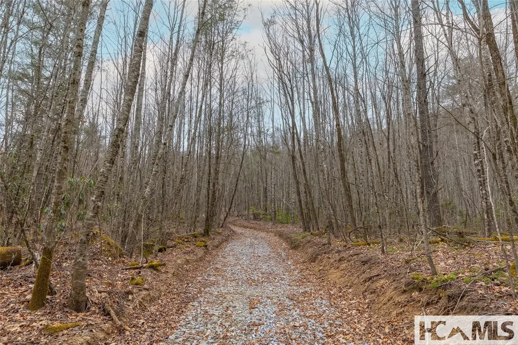 Tr A Fenley Forest Trail Cullowhee NC 28723