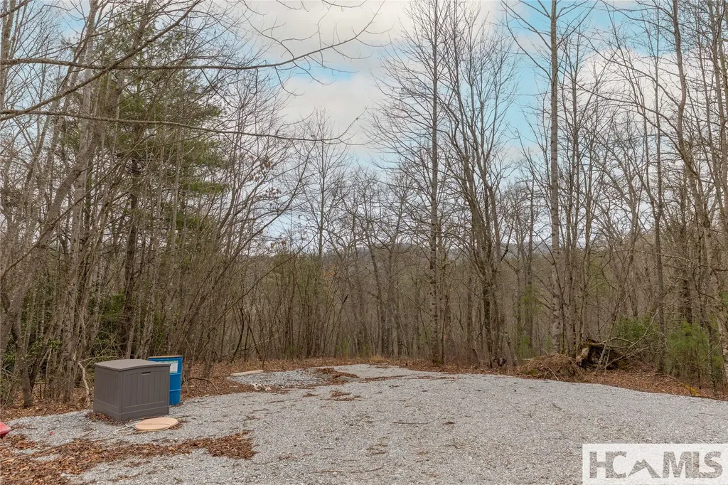 Tr A Fenley Forest Trail Cullowhee NC 28723