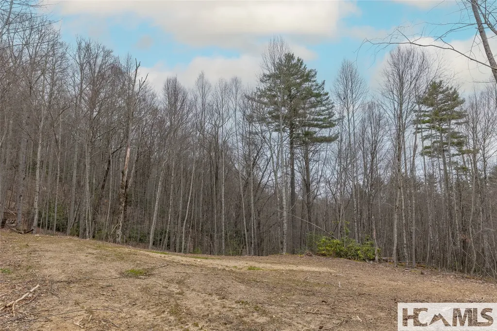 Tr A Fenley Forest Trail Cullowhee NC 28723